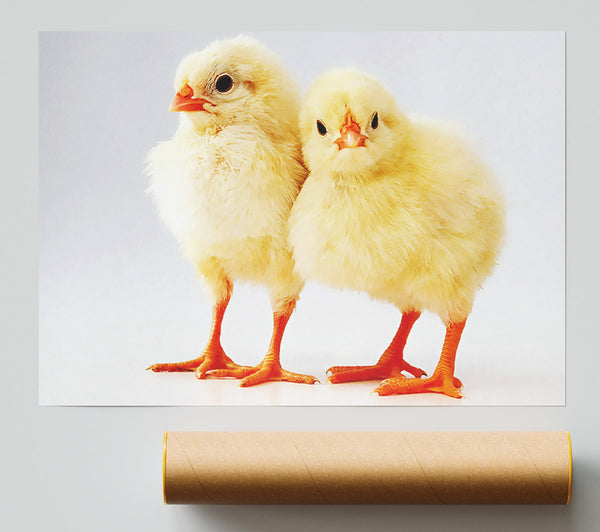 Two Little Chicks Poster