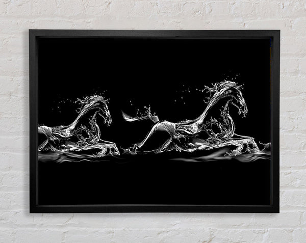 Water Horses Framed Print