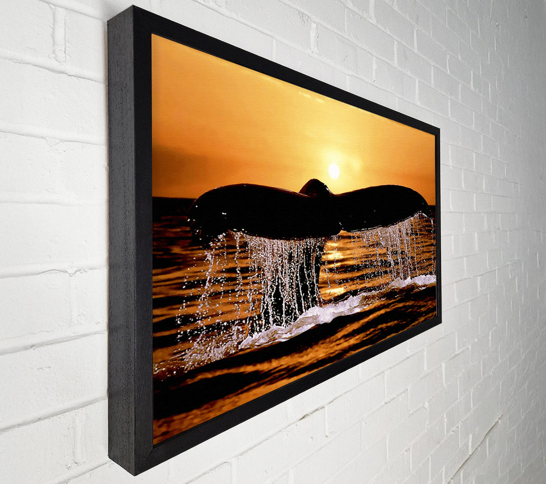  A Canvas Print of Whale Tale Canvas Art