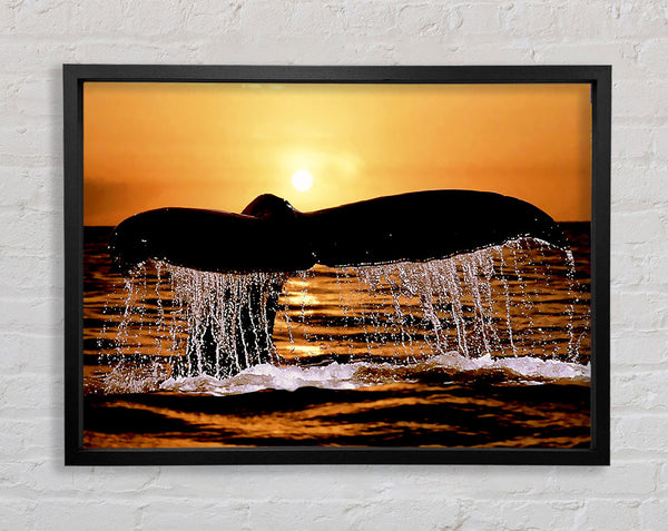 Whale Tale Framed Print