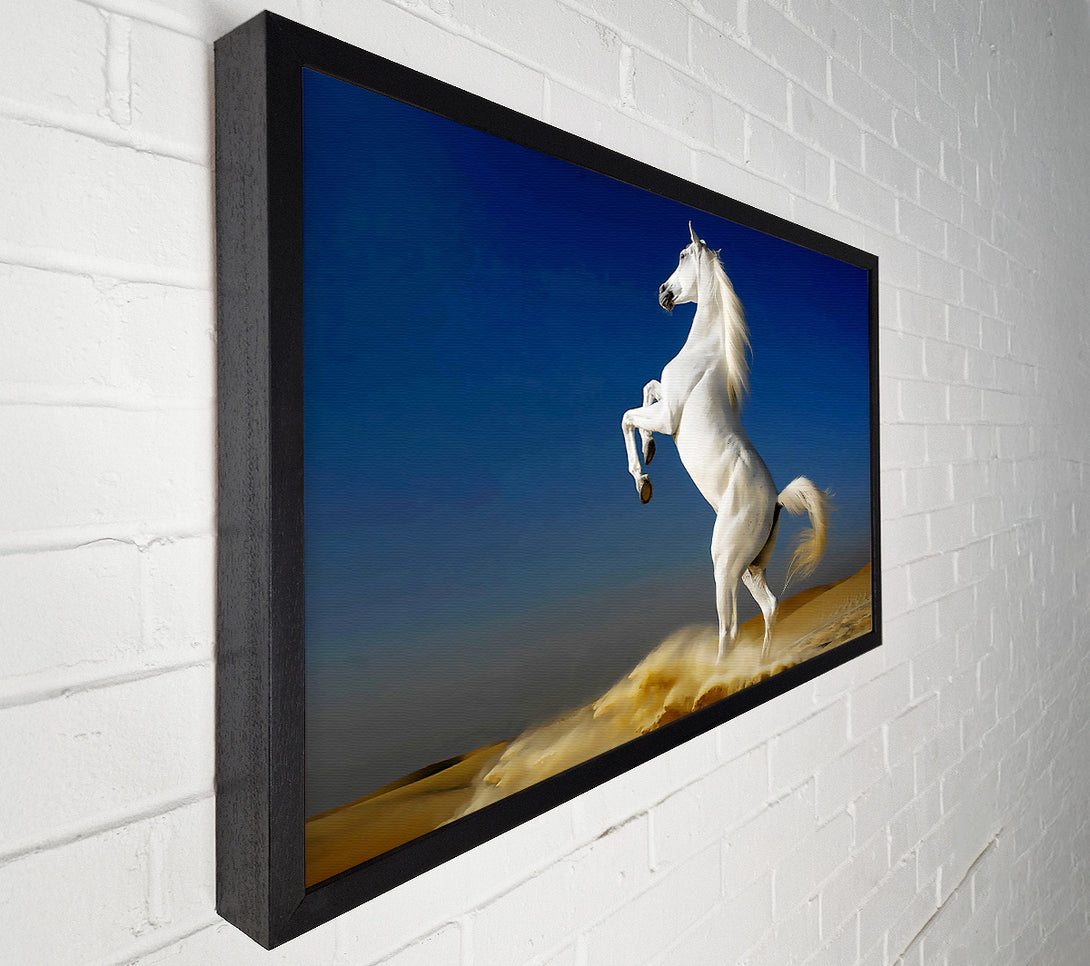  A Canvas Print of White Horse Stance Canvas Art