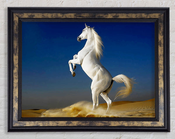 White Horse Stance Framed Print