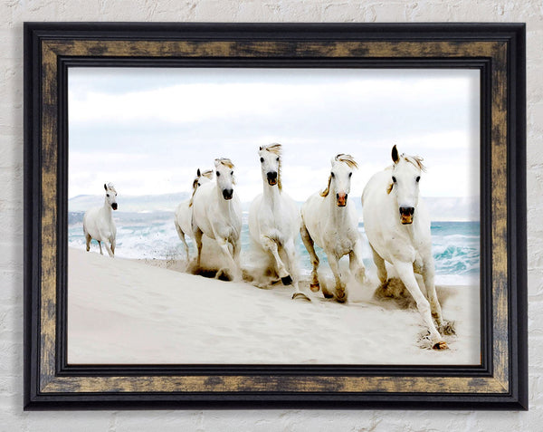 White Ocean Horses Framed Print