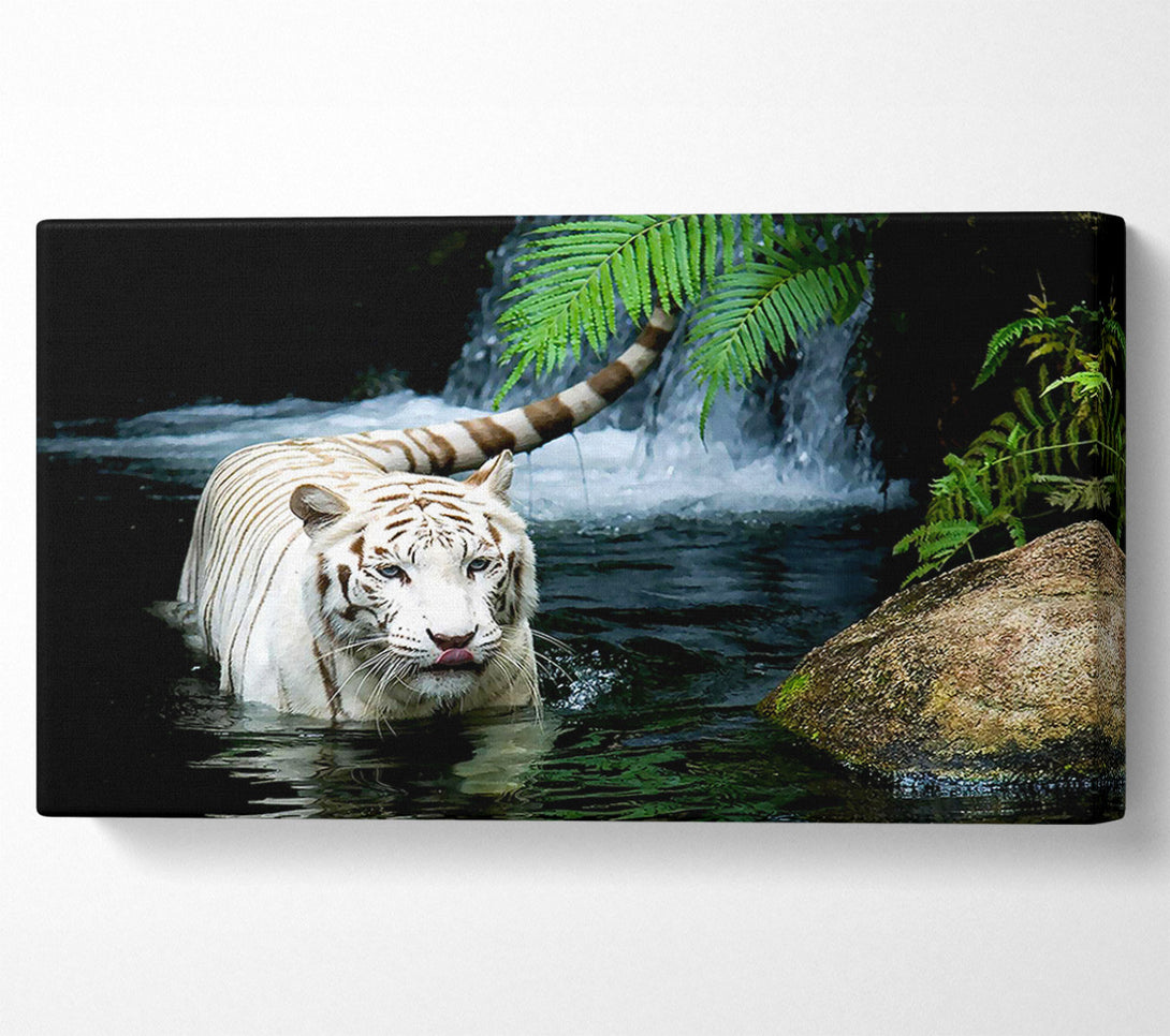  A Canvas Print of White Tiger Beautiful Canvas Wall Art