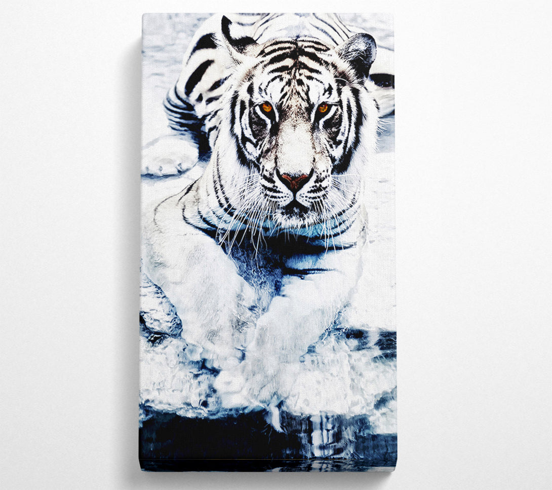  A Canvas Print of White Tiger Stare Canvas Print