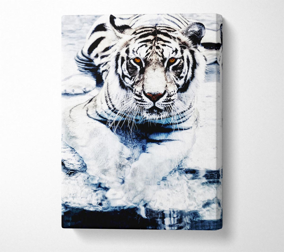  A Canvas Print of White Tiger Stare Canvas Print