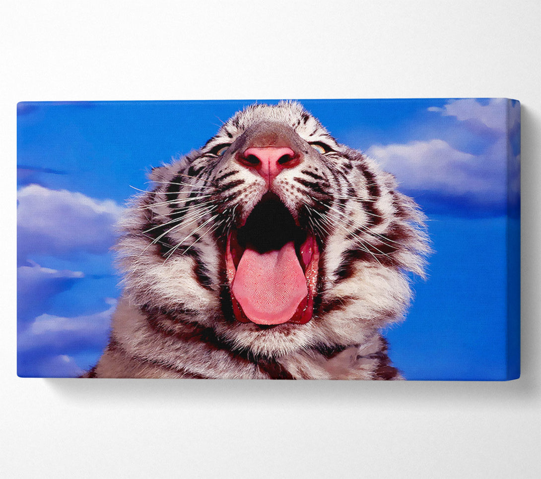  A Canvas Print of White Tiger Yawn Canvas Art