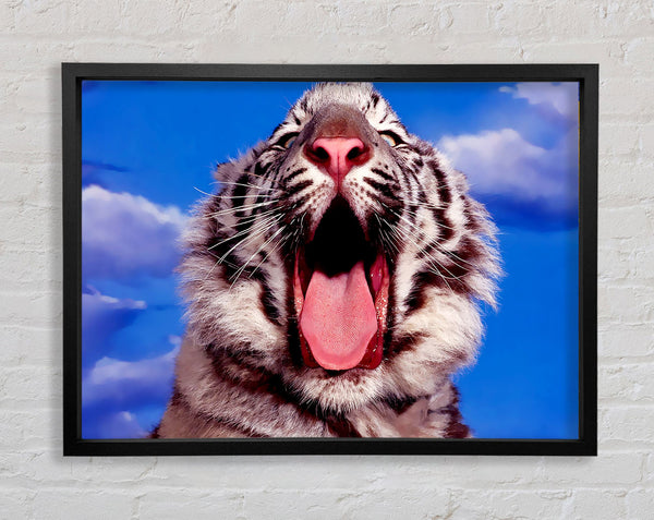 Weißer Tiger gähnt