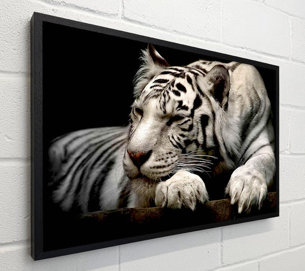 White Tiger Rest