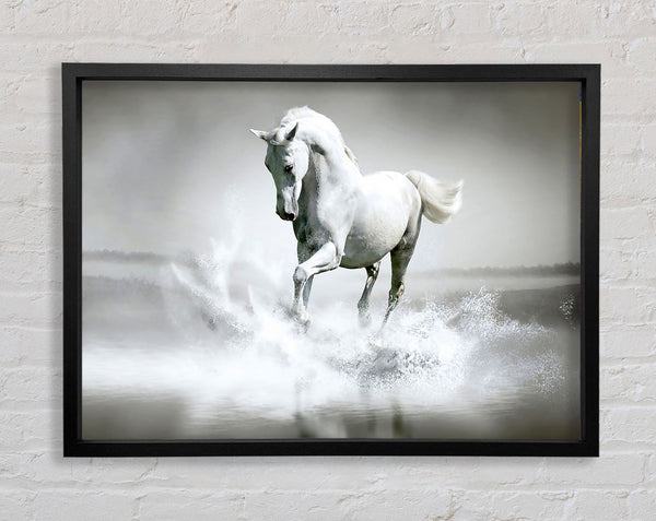 Wildwasserpferd