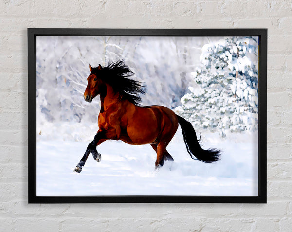 Wild Horse In The Snow Framed Print