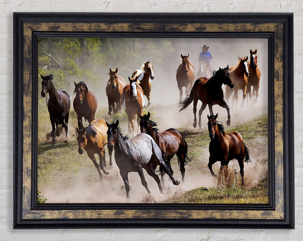 Wild Horse Stampede Framed Print