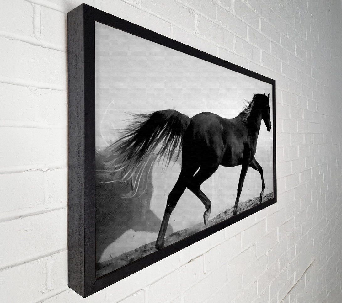  A Canvas Print of Wild Horses B n W Canvas Print