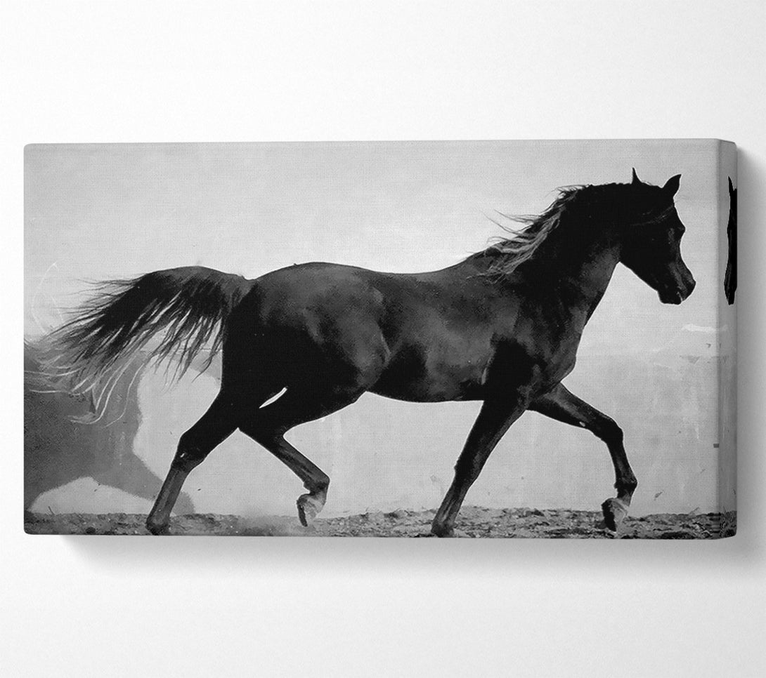  A Canvas Print of Wild Horses B n W Canvas Print