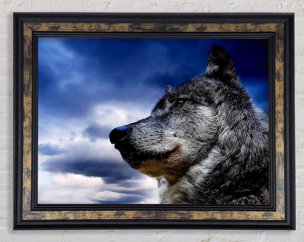 Wolf Clouds Framed Print