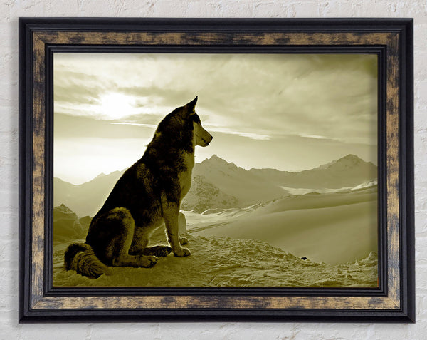 Wolf Mountain Framed Print
