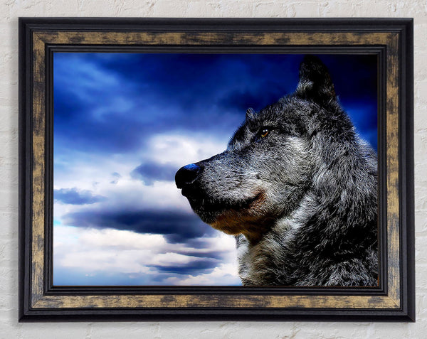 Wolf Skies Framed Print