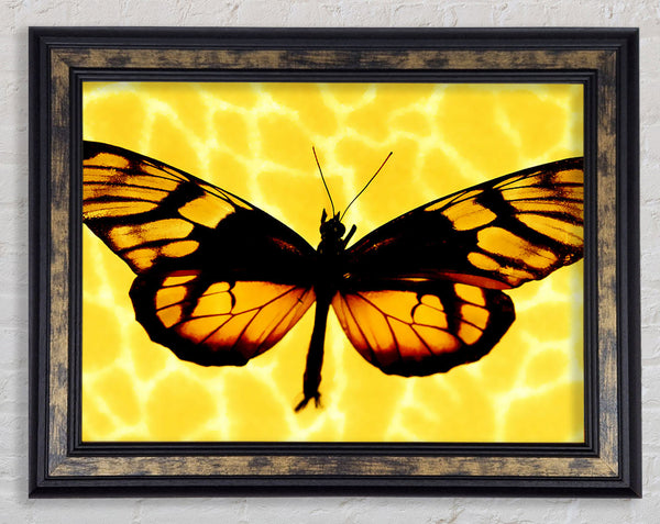 Yellow Butterfly Wings Framed Print