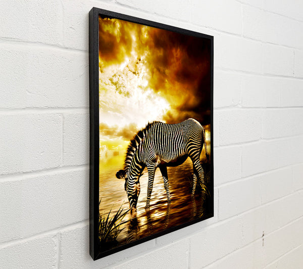 Zebra In The Golden River