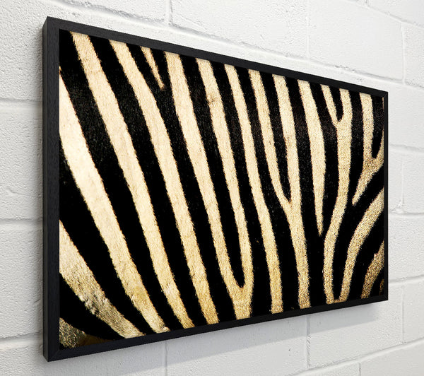 Zebra Pattern