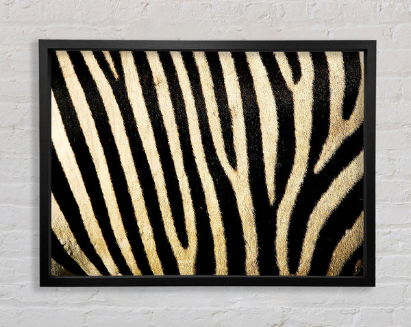 Zebra-Muster
