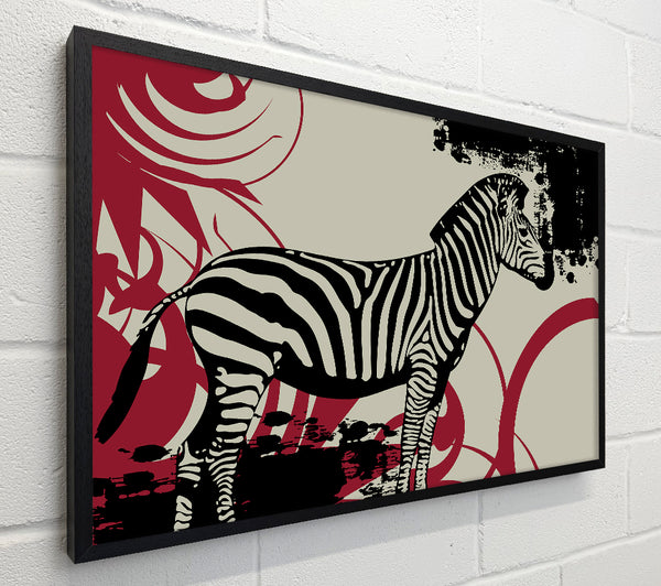 Zebra Safari