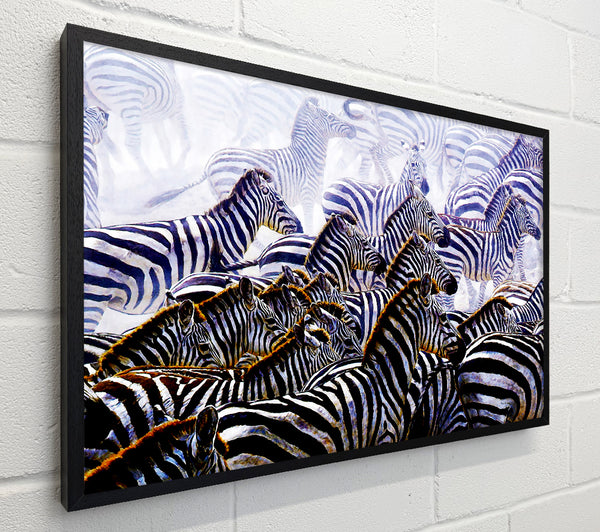 Zebra Stampede
