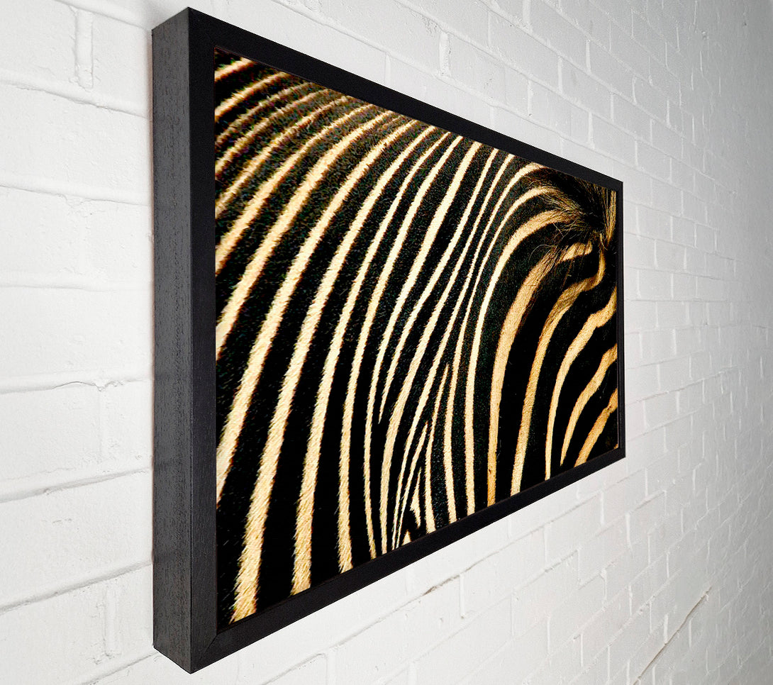  A Canvas Print of Zebra Stripes Canvas Art