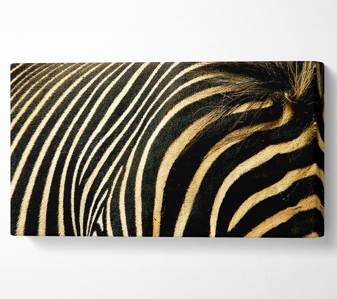  A Canvas Print of Zebra Stripes Canvas Art