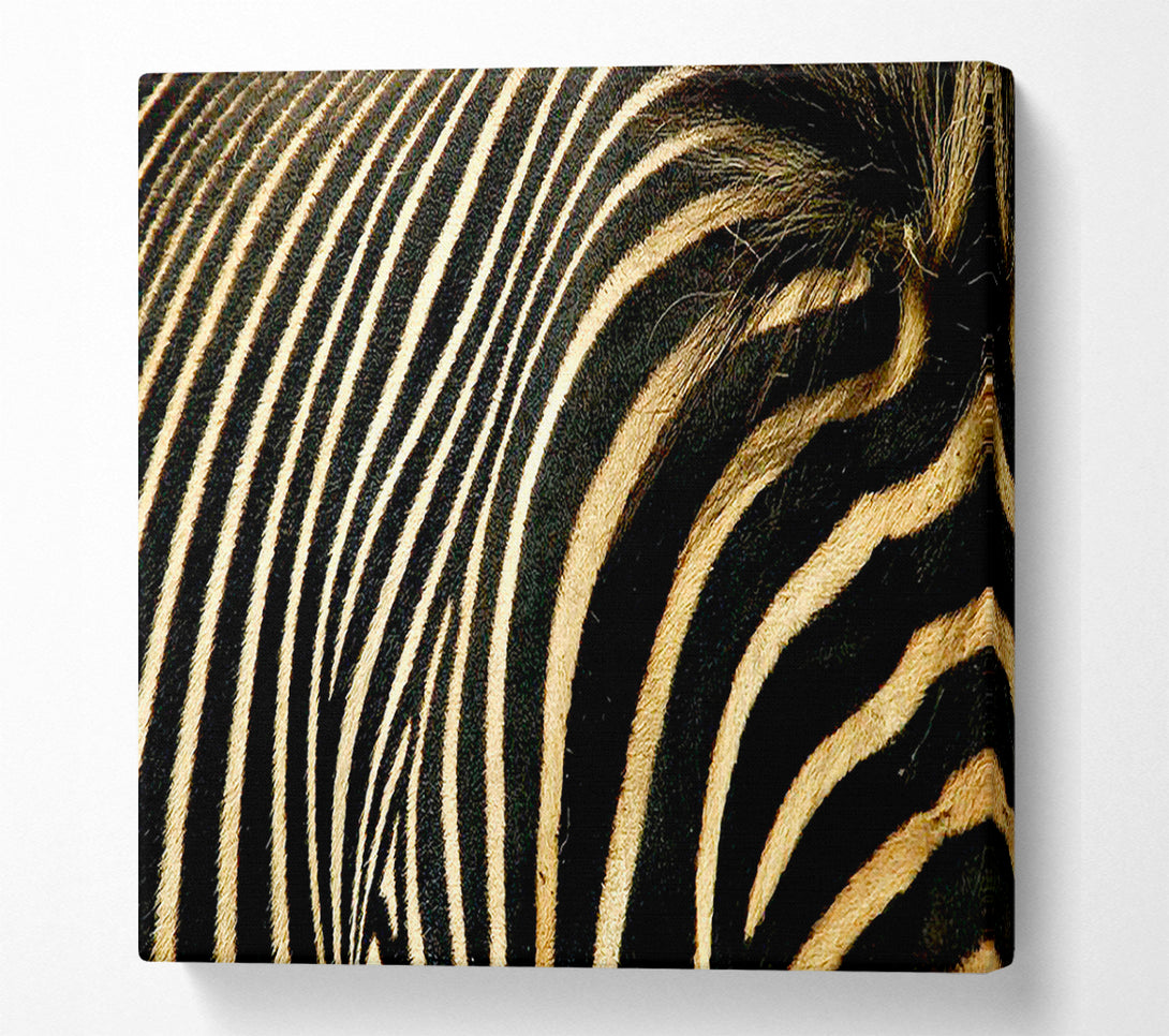  A Canvas Print of Zebra Stripes Canvas Art