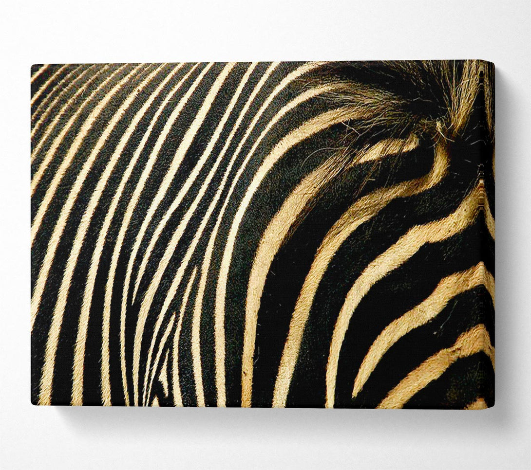  A Canvas Print of Zebra Stripes Canvas Art