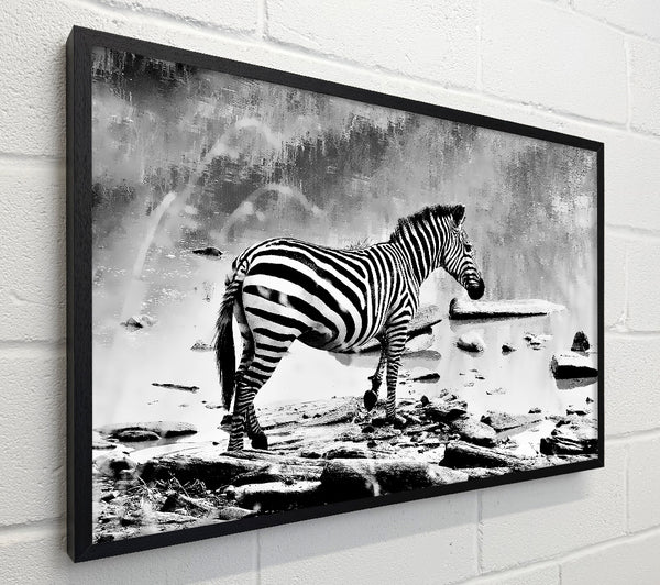 Zebras Watering Hole B n W