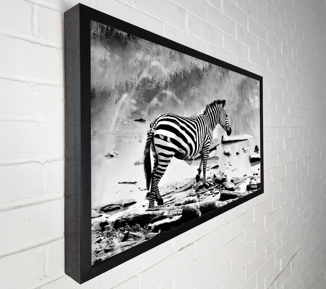  A Canvas Print of Zebras Watering Hole B n W Canvas Wall Art
