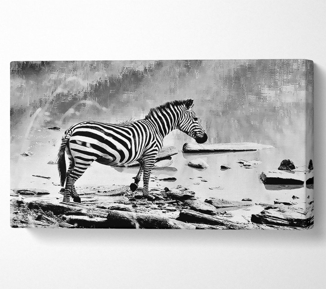  A Canvas Print of Zebras Watering Hole B n W Canvas Wall Art