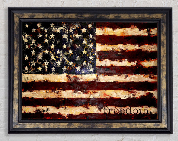 Freedom Flag Usa Framed Print