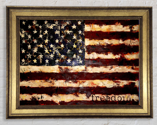 Freedom Flag Usa Framed Print