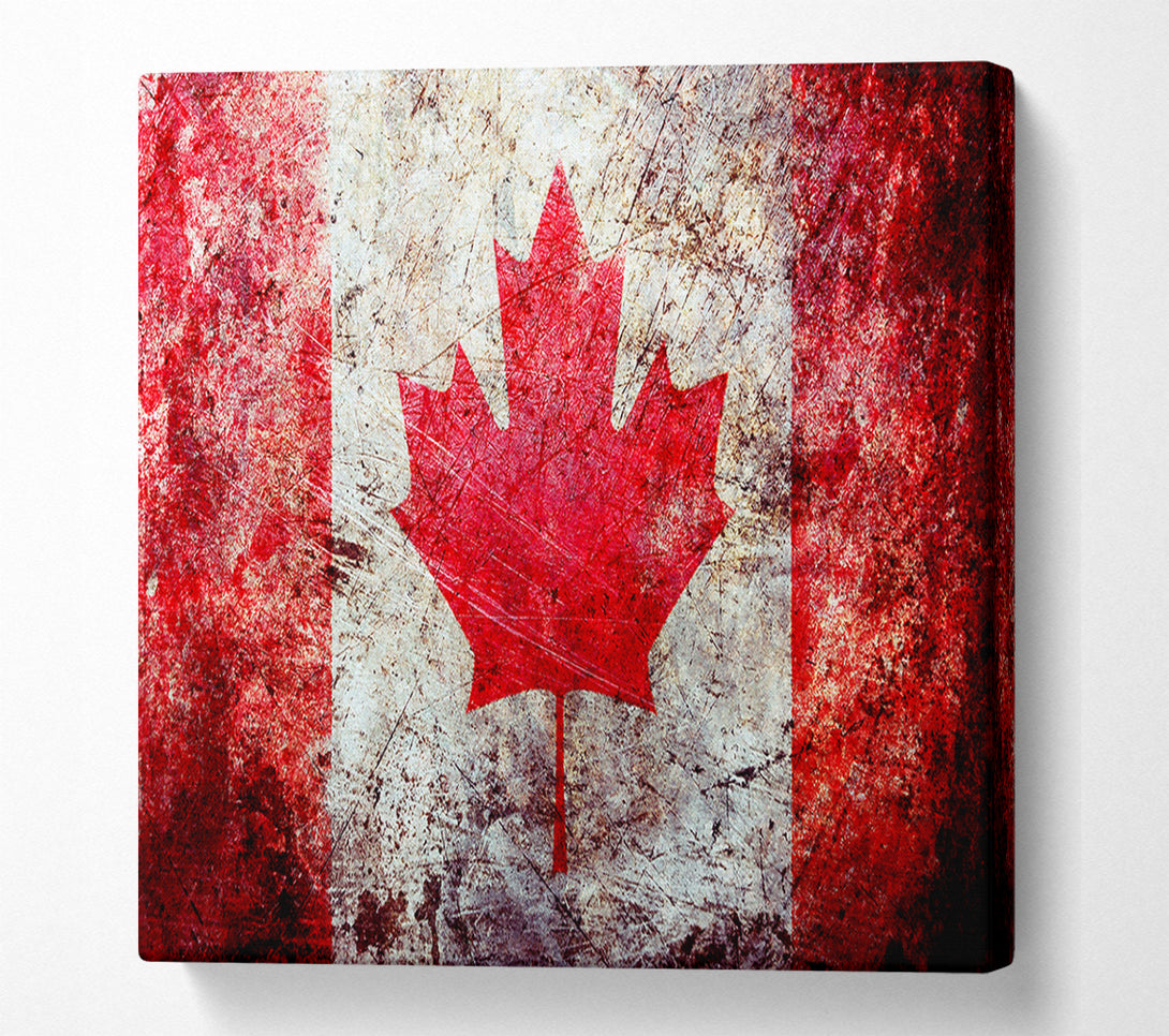  A Canvas Print of Canada Flag Grunge Canvas Print