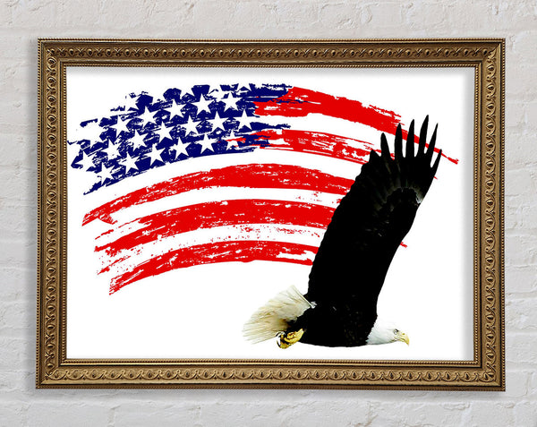 Eagle Freedom Framed Print