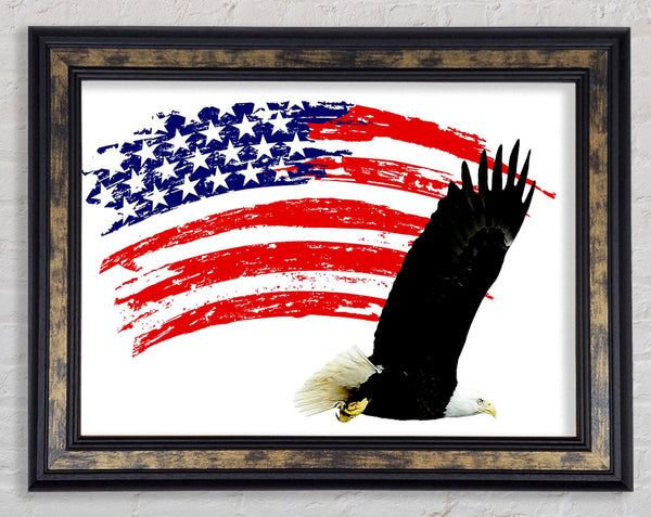Eagle Freedom Framed Print