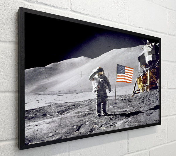 David Scott Gives Salute