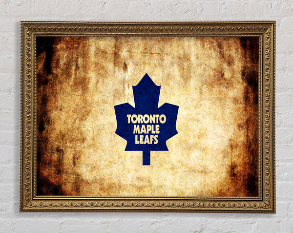 Canada Toronto Maple Leaf Framed Print