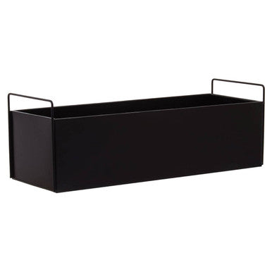 Asher Black Box Large Wall Plant