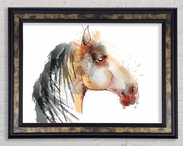 Horse Mane Framed Print
