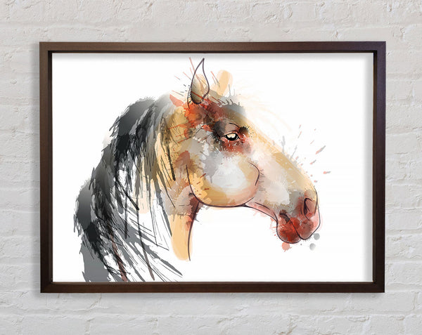 Horse Mane Framed Print