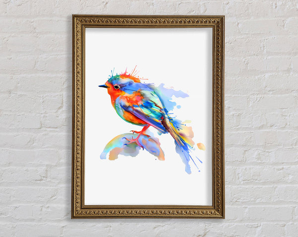 Bunter Robin
