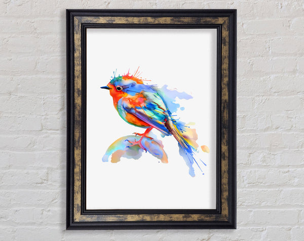 Colourful Robin Framed Print