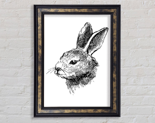 Bunny Portrait Framed Print