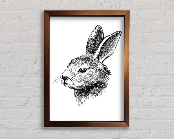 Hasenportrait