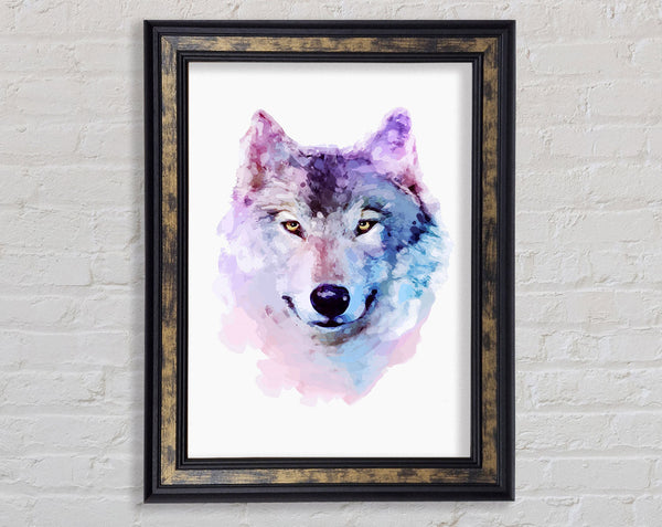 Stunning Wolf Framed Print