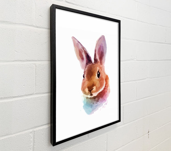 Rabbit Portrait
